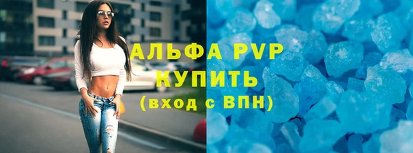 стафф Корсаков