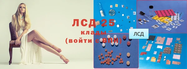 стафф Корсаков