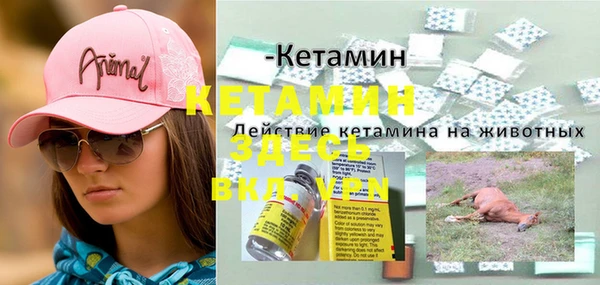 дмт Костерёво