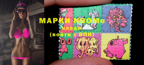 стафф Корсаков