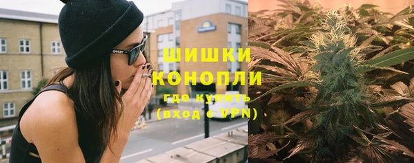 дмт Костерёво