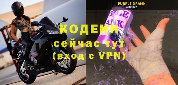 дмт Костерёво