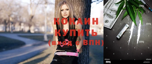 дмт Костерёво
