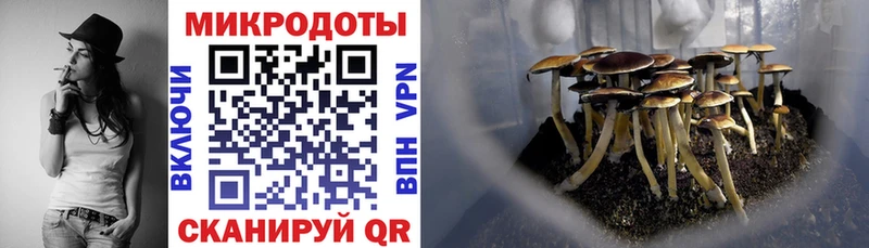 Псилоцибиновые грибы мухоморы  shop какой сайт  Южно-Сухокумск 
